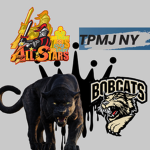 NATIONAL ALL-STAR FOOTBALL TEAM