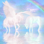 ･ﾟ:*･ﾟ:*･ﾟ:*