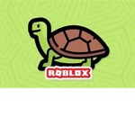turtle cool club