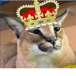 King Floppa