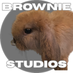 Brownie The Bunny Studios