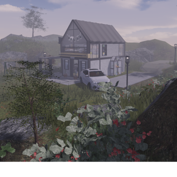 recreation - beter briffin watches over your home