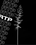 .RTP.