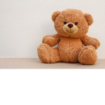 The Teddy Bear Team