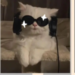 COZY CATZ <3