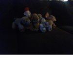 Animal squad ofical