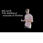 A Flamingo Fangirl Group