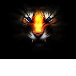 TigerxxBolt