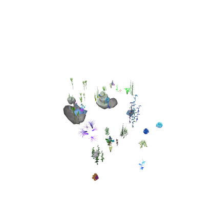 Sea Stuffs