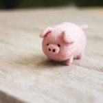 Extreme piggies
