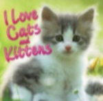 ʚ J'AIME LES CHATS ɞ