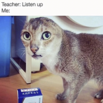 ejifhsjdvargabjkfzbhjkgabefjakergaerhaedf d gaer