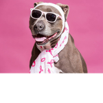 the dog people