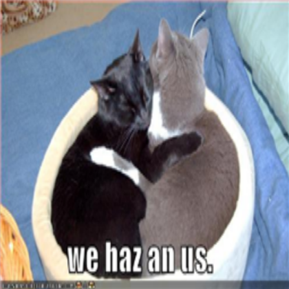 cats Roblox decal