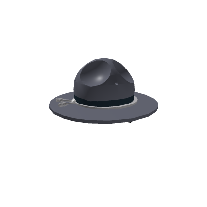 Maine State Police Cover