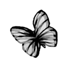 Butterfly Effect Studio