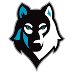 The WOLFS_