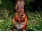 do you look good?