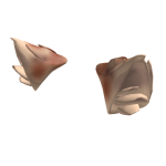 Roblox entity thumbnail