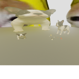 Dogs And Cats! ;)