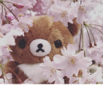 For my sister and brother ggggg