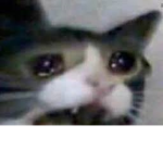 Stob