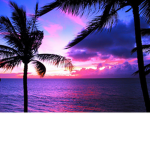 going to the beach