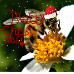 The Bee Squad (bees for ever)