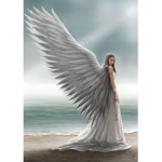The Angel Rebellion!