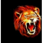 The Lions,