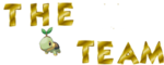 The Turtwig Team