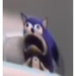 bruh!!!