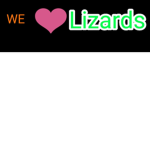 LizardsTeam