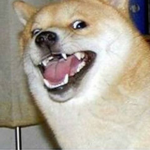 Evil Dogger Alliance