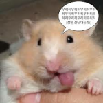 디트의 그룹 챗방