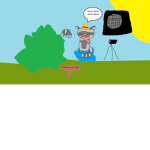 The Raccoon Clan