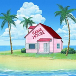 Kame Team