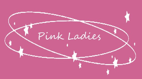 Pink Ladies Homestore