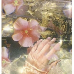 +. B R A I N W A V E .+