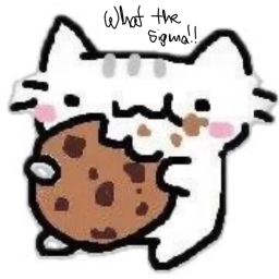 swim to el gatos house for a cookie!