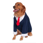 The dog Democratic