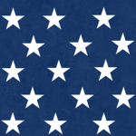 The Federal United States Navy