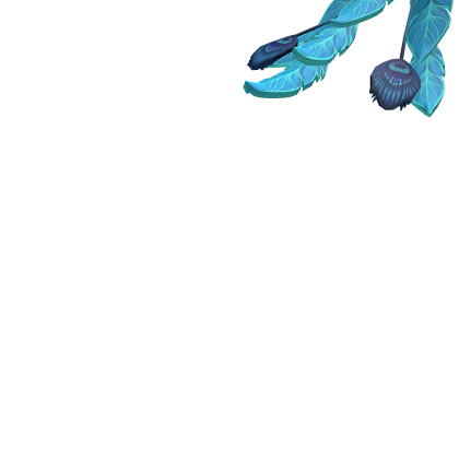 Kingfisher Tail
