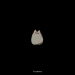 Pusheen icon