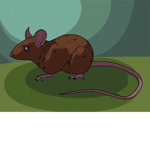 the brand mice