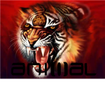 Animal Shirts