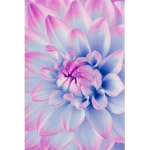 Flowery Florals