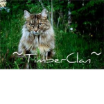 ~Timberclan~