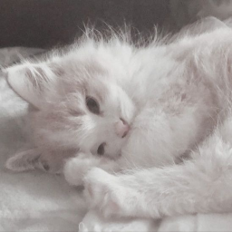 ★˚ʚɞ