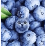 M̴O̸R̶E̷ ̴L̸I̷F̸E̶